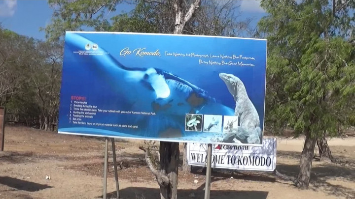 Tok! Tarif Masuk Pulau Komodo & Pulau Padar Rp3,75 Juta Mulai Berlaku