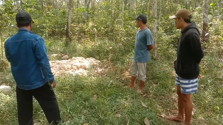 Warga Tulang Bawang Lampung Digegerkan dengan Temuan Ratusan Bangkai Ayam