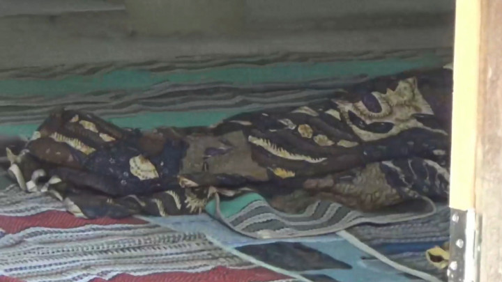 Ibu dan Anak di Tulungagung Tewas Akibat Racun Tikus