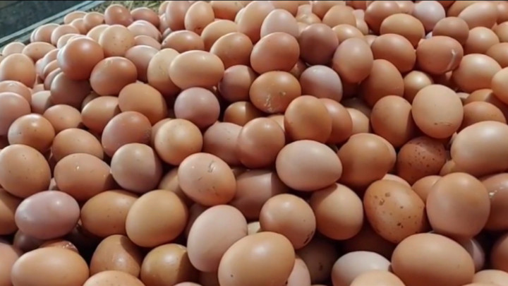 Harga Telur di Tasikmalaya Naik hingga Rp32.000 per Kilogram