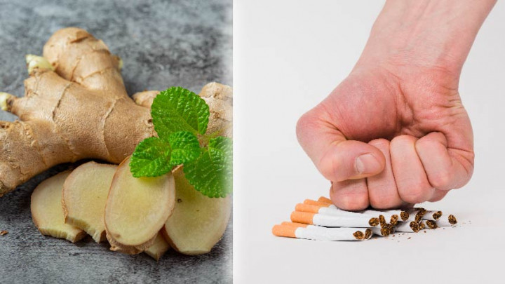 Wow! 5 Tanaman Ini Mampu Bantu Hentikan Kebiasaan Merokok