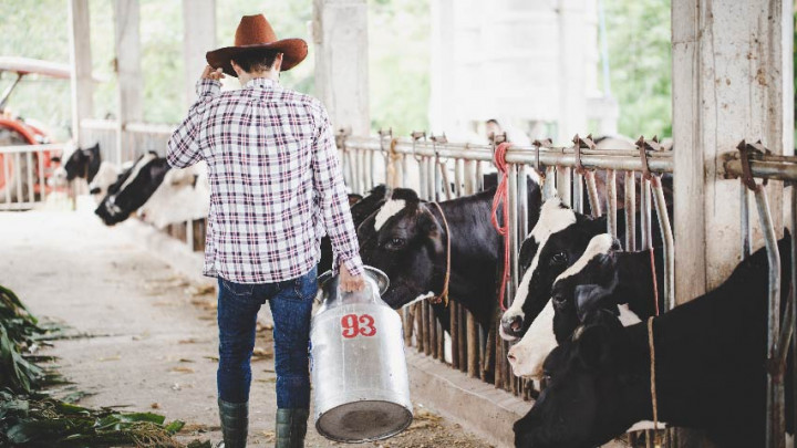Kenali Manfaat Susu Sapi A2, Baik untuk Fungsi Pencernaan