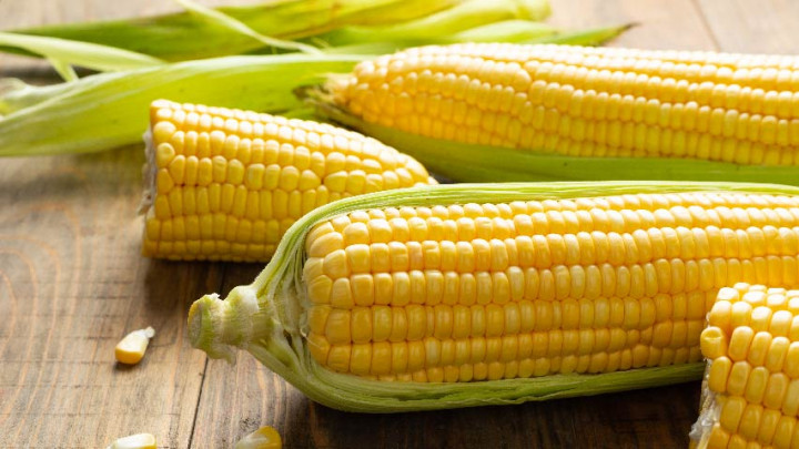 Jadi Menu Diet, Kenali Manfaat Jagung untuk Menurunkan Berat Badan