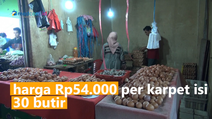 Stok Langka, Harga Telur Ayam di Kota Bengkulu Tembus Hingga Rp54 Ribu
