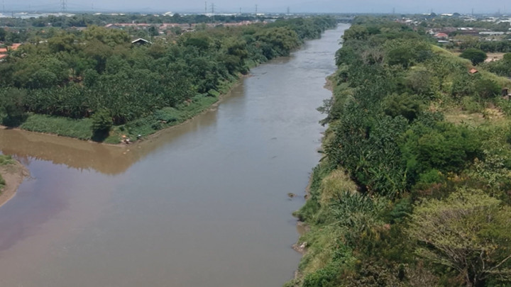 Heboh! Limbah Rumah Penjagalan Anjing Dibuang ke Sungai Bengawan Solo