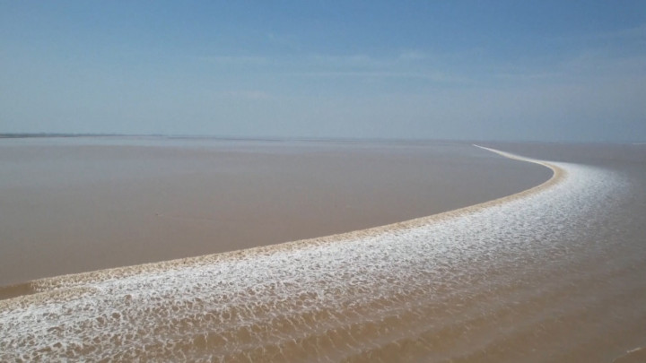 Fenomena Langka, Munculnya 'Tidal Bore' di Sungai Qiantang Tiongkok
