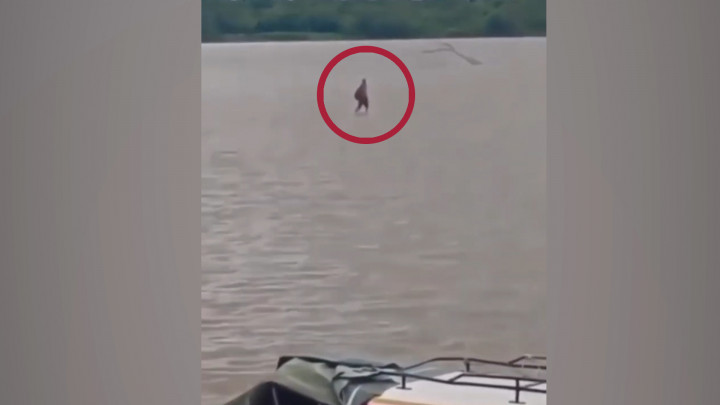 Viral, Orang Berjalan di Atas Air Hebohkan Warga Banjarmasin