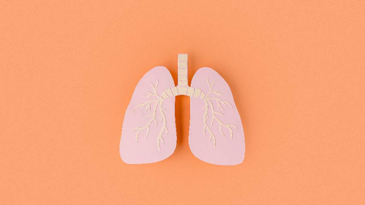 Viral di Media Sosial! Benarkah Asap Rokok Picu Bronkitis?