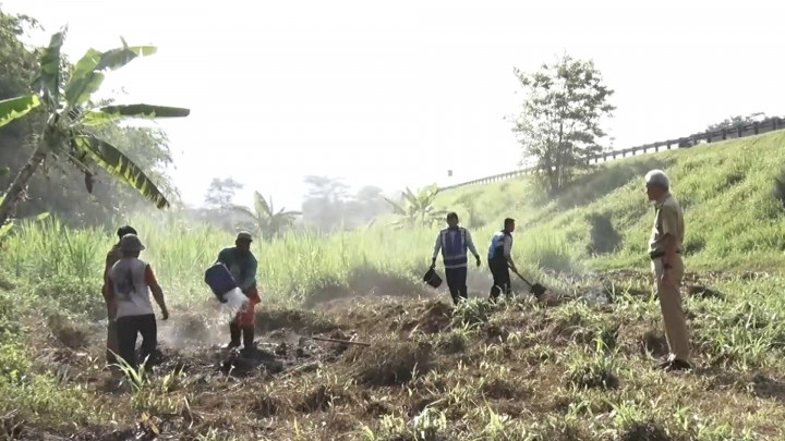 Ganjar Tegur Warga Bakar Jerami di Pinggir Tol