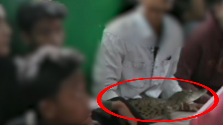 Heboh! Remaja di Jaktim Bawa Buaya Saat Tawuran