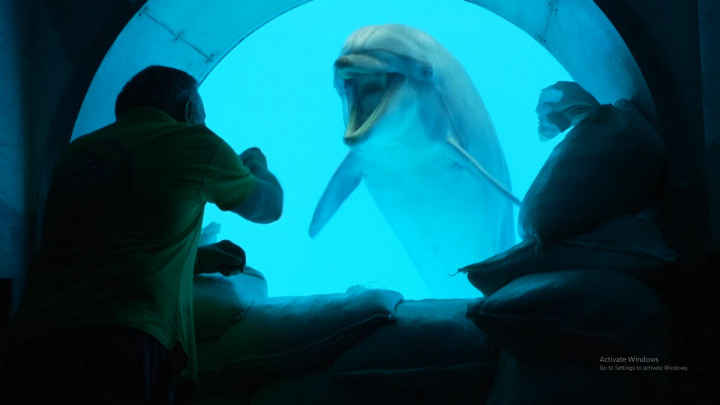 Masih Bertahan, Ini Kehidupan Mamalia di Akuarium Kharkiv Ukraina