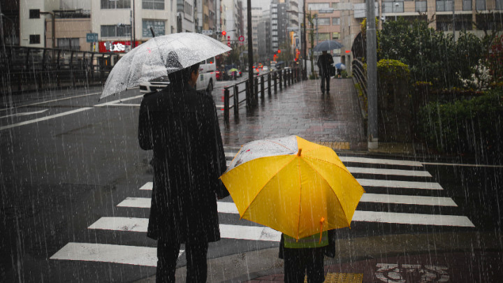 Antisipasi Musim Hujan, Konsumsi 5 Makanan Peningkat Imunitas