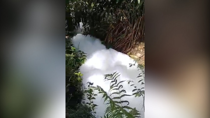 Viral! Fenomena Busa Muncul di Sungai, Warga Percaya Dapat Sembuhkan Penyakit