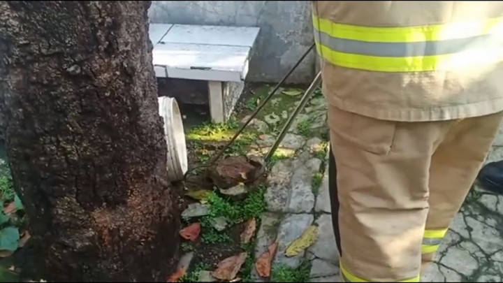 Warga Dikagetkan Oleh Penemuan Ular Weling di Rumahnya