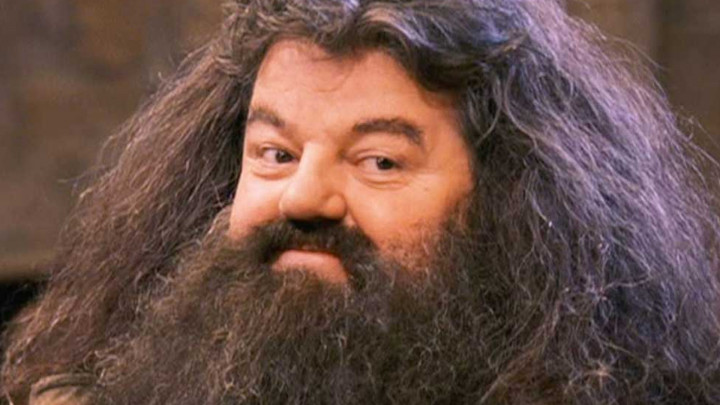 Pemeran Hagrid di Film Harry Potter Meninggal Dunia
