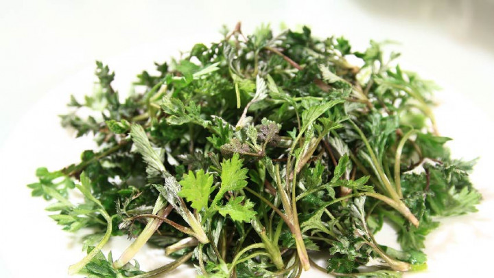 Mengenal Manfaat Mugwort, Kurangi Stres hingga Kram Perut