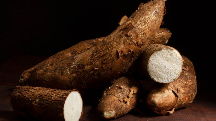 Jenis Umbi Kaya Nutrisi, Begini Manfaat Singkong untuk Kesehatan Tubuh