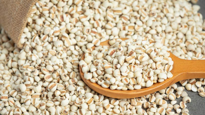 Tepung Sorgum, Tanaman Berbiji Khas Afrika Penuh Nutrisi Baik