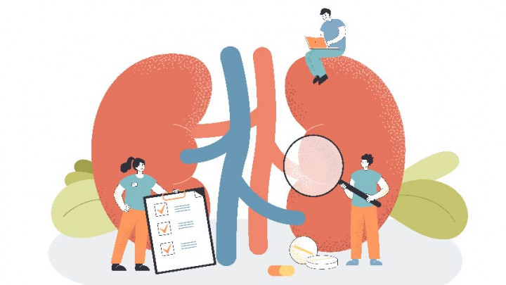 Membahayakan Fungsi Ginjal, Hindari 7 Kebiasaan Hidup Ini