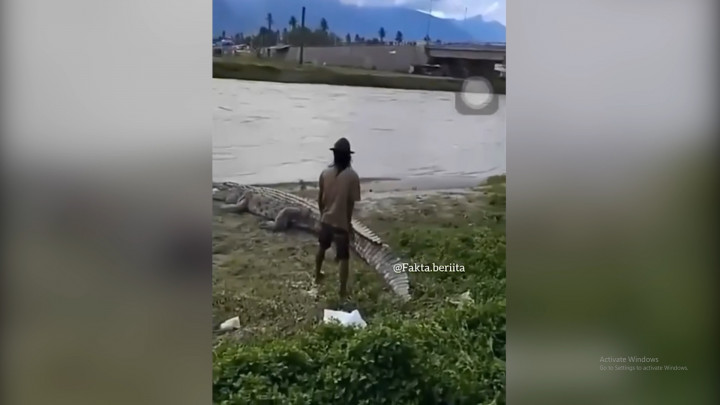 Ngeri! Nekat Mengelus-elus Buaya, Pria di Palu Nyaris Diterkam