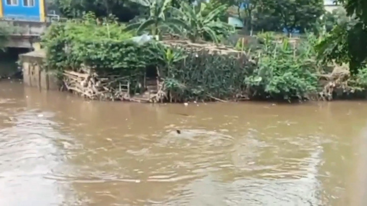 Hindari Razia, Seorang PMKS Nekat Menceburkan Diri ke Kali Ciliwung