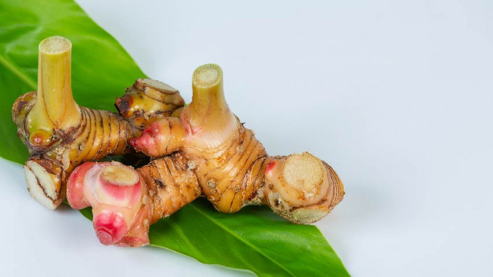 Populer Sebagai Rempah Masakan, Lengkuas Ternyata Baik untuk Kesehatan
