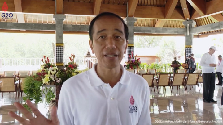 Ini Alasan Jokowi Ajak Delegasi KTT G20 Tanam Mangrove di Bali