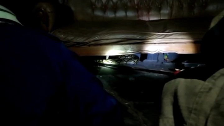 Seekor Ular Sanca Sepanjang 4 Meter Ditemukan di Rumah Warga