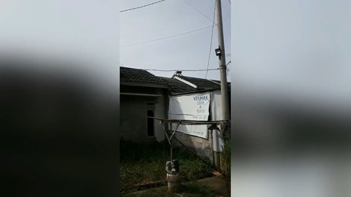 Tiga Monyet Liar Masuk Permukiman Bikin Resah Warga