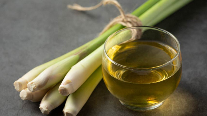 Aman Digunakan, 7 Minyak Ekstrak Tanaman Pengusir Nyamuk