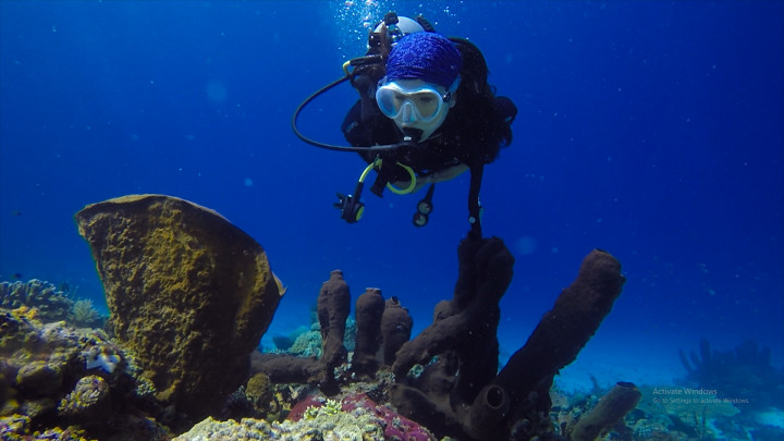 Hidden Paradise! Wajib Cobain 4 Spot Diving Eksotis di Indonesia