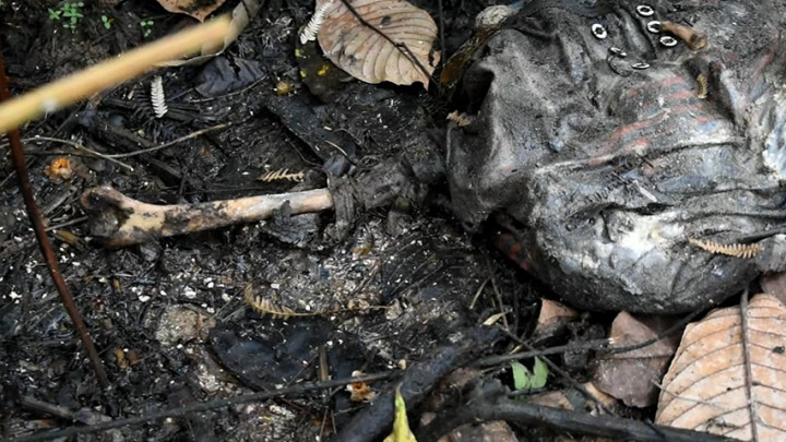 Heboh! Warga Temukan Tengkorak Manusia di Hutan