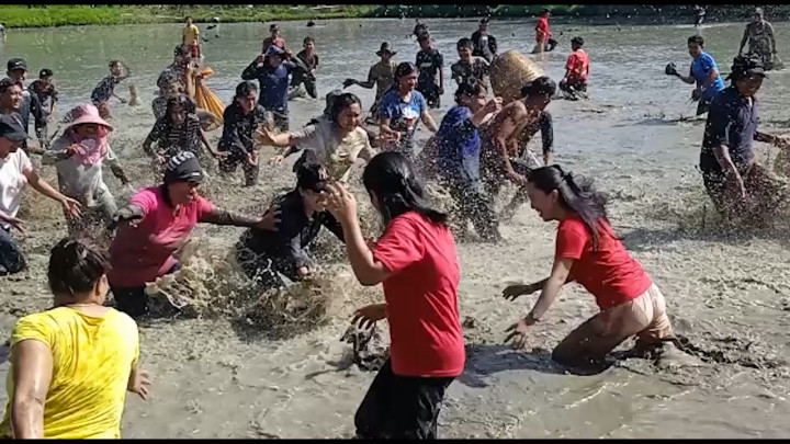 Meriahkan Natal, Ratusan Warga Rebutan Ikan di Tengah Sawah