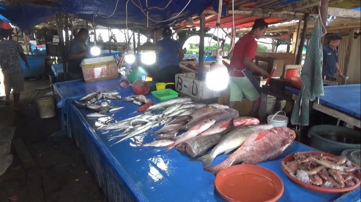 Dampak Cuaca Ekstrem, Harga Ikan di Bengkulu Melonjak Tinggi