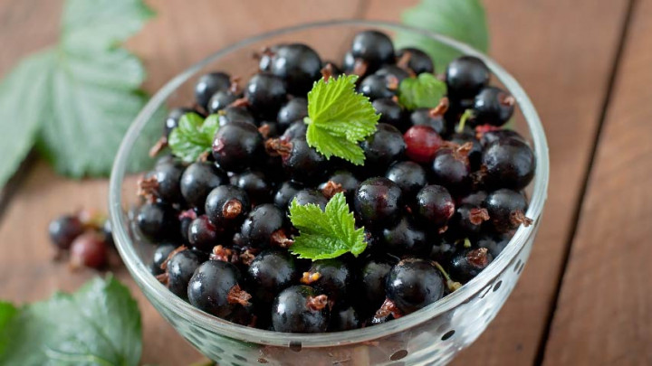 Padat Nutrisi, Kenali Manfaat Blackcurrant untuk Kesehatan