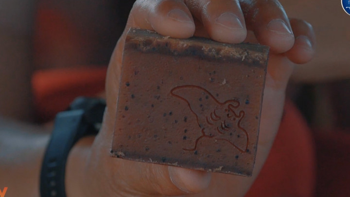 Sabun Berbahan Biji Mangrove, Emang Ada?