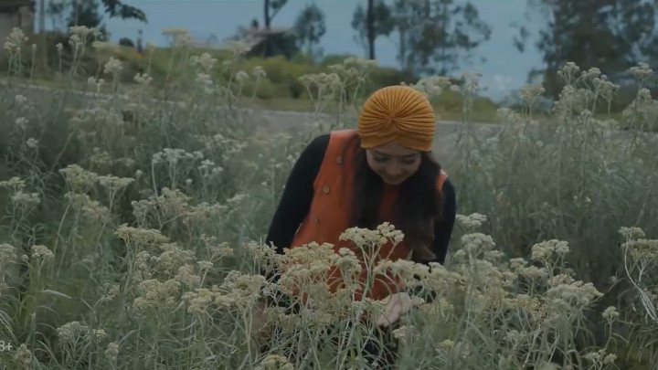 Tak Hanya Cinta Abadi, Ternyata Ada Kebun Bunga Abadi di Kelimutu