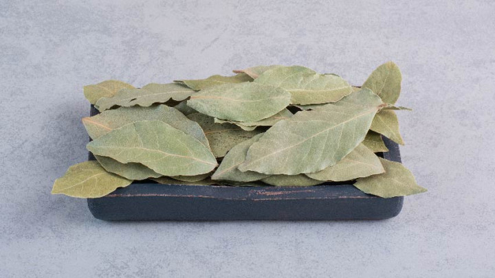 7 Manfaat Bumbu Masak Daun Salam bagi Kesehatan