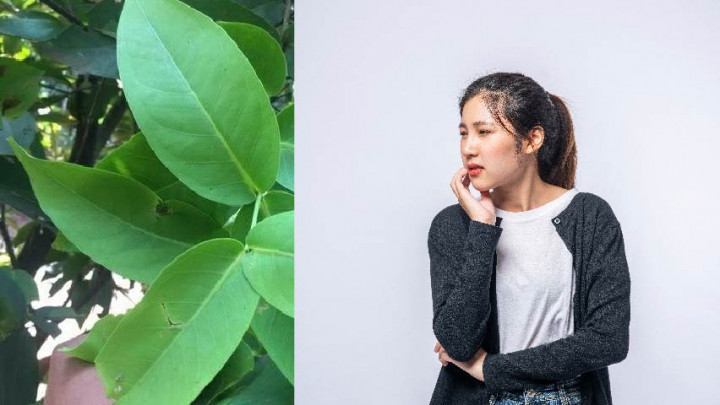 6 Rempah Herbal yang Bantu Atasi Sakit Gigi Berlubang