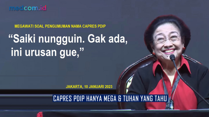Soal Capres PDIP, IPR: Hanya Ibu Megawati dan Tuhan yang Tahu