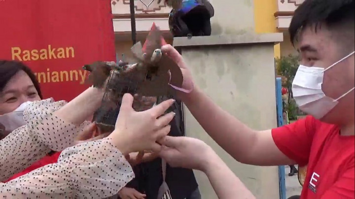 Tradisi Perayaan Imlek, Melepas Burung Pipit Dipercaya Memberikan Keberkahan