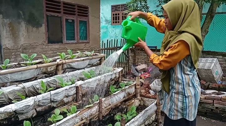Wow! Gadis Remaja di Serang Ubah Sampah Popok Jadi Media Tanam dan Pupuk
