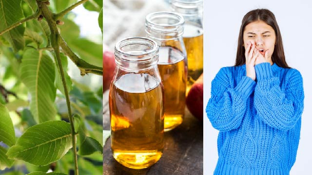 Mudah Banget! Redakan Sakit Gigi dengan 7 Bahan Alami Ini