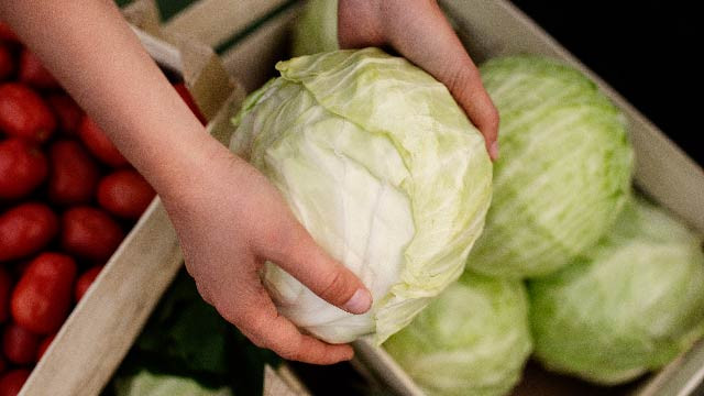 Sering Jadi Lalapan, Sayur Kol Ternyata Sumber Serat dan Antioksidan