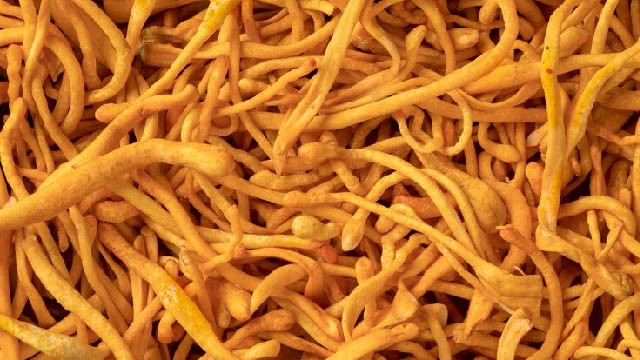 Mengenal Cordyceps, Jamur Langka yang Punya Banyak Manfaat
