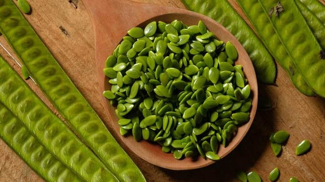 Cegah Diabetes hingga Kanker, Ini Sederet Khasiat Petai Cina