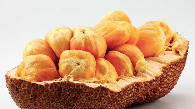 Mirip Nangka, Kenali 5 Manfaat Cempedak untuk Kesehatan