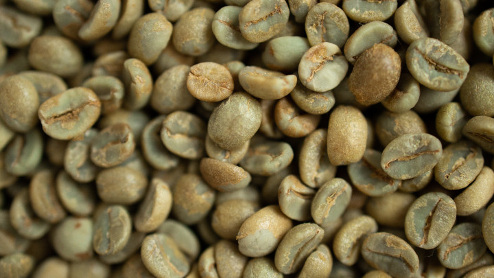 Tidak Dipanggang, Ketahui 5 Khasiat Kopi Hijau untuk Kesehatan
