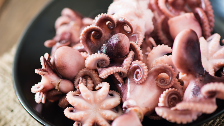 Lezat dan Bergizi, Ini 5 Manfaat Daging Gurita untuk Kesehatan