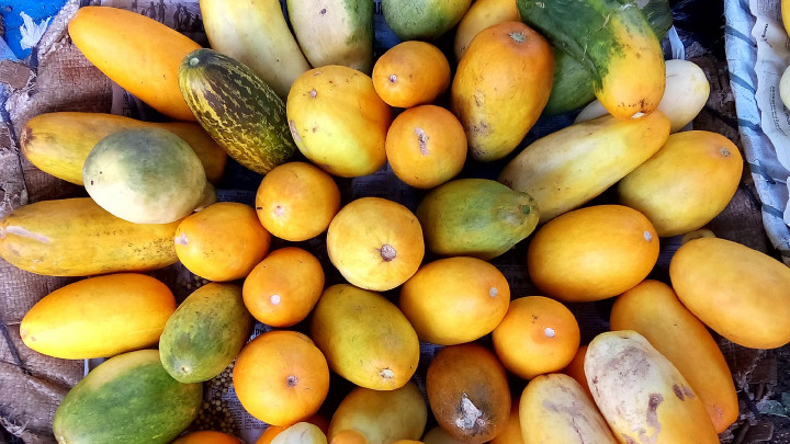 Mengapa Timun Suri Banyak Muncul saat Ramadan? Ini Alasannya